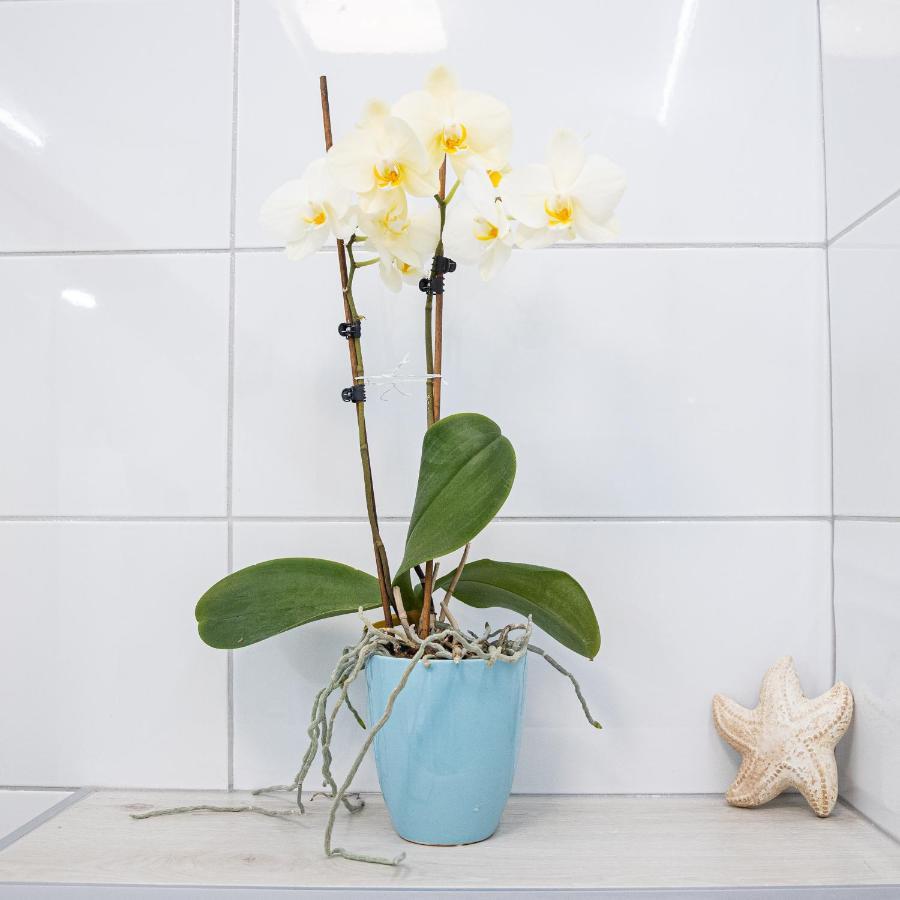 Apartment Mari&Bor Марибор Екстериор снимка
