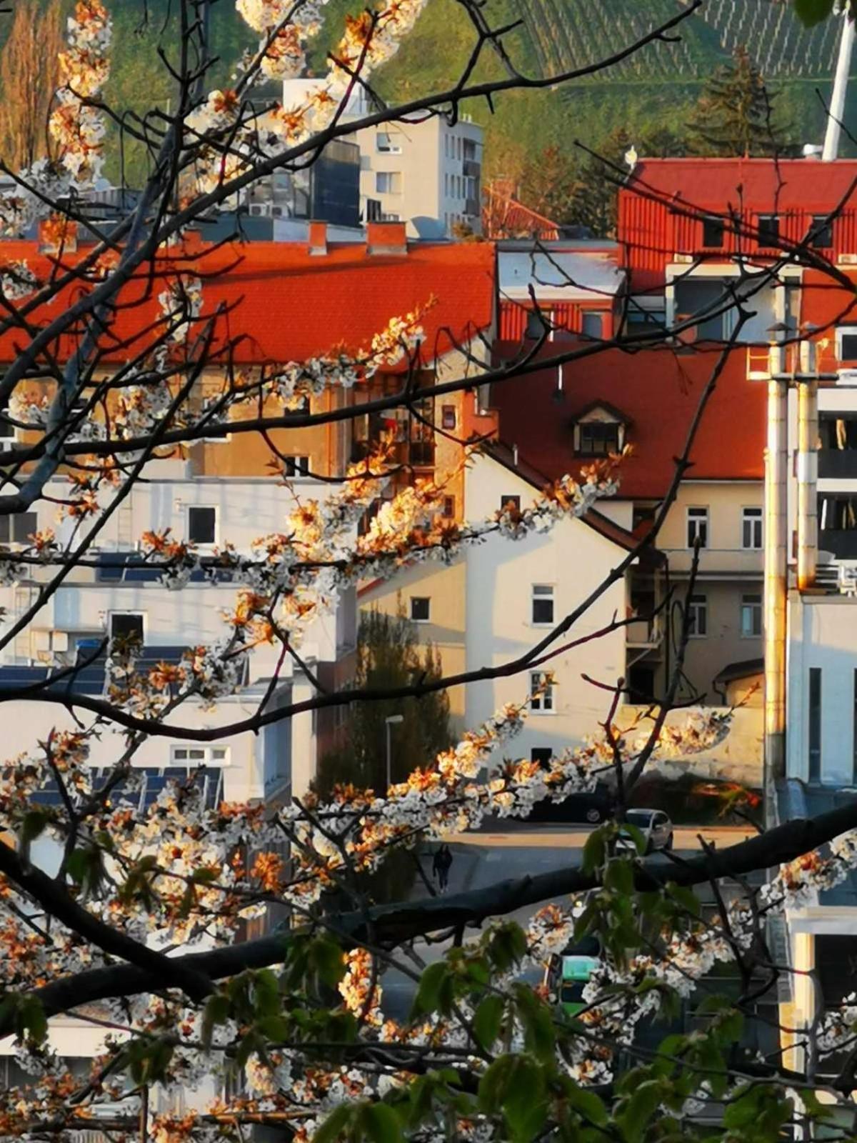 Apartment Mari&Bor Марибор Екстериор снимка